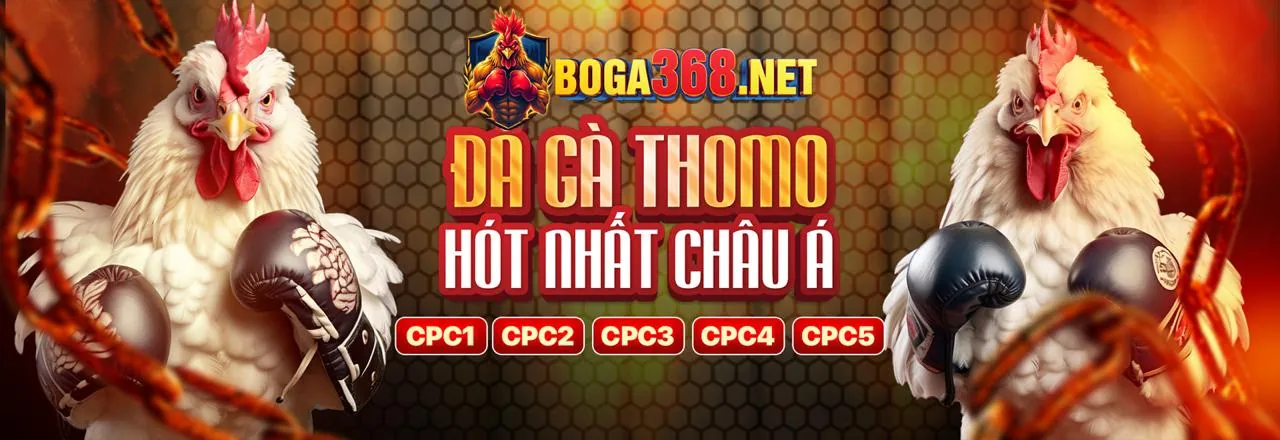 Cá cược đá gà trực tiếp tại Five88