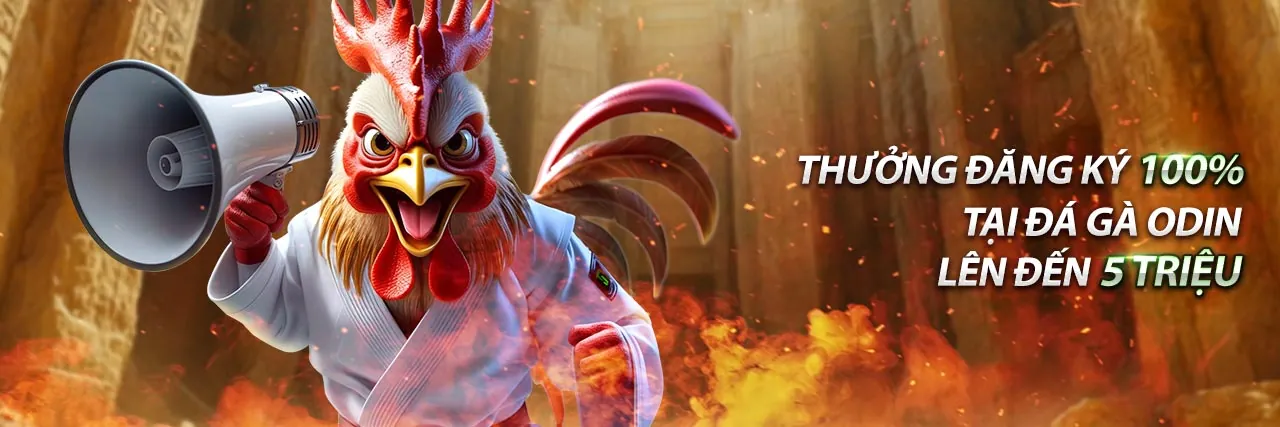 Hệ thống giám sát và phòng chống gian lận Five88