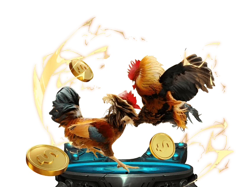 Cá cược Thể thao Five88